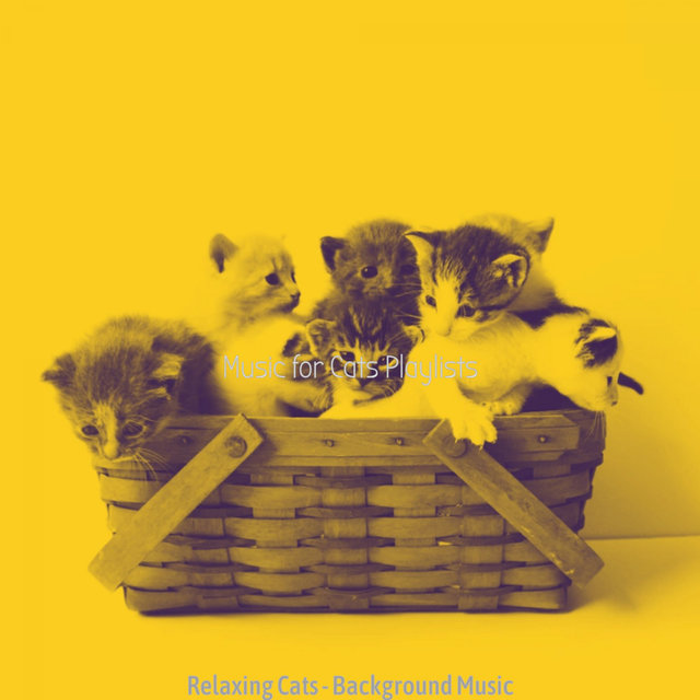 Relaxing Cats - Background Music
