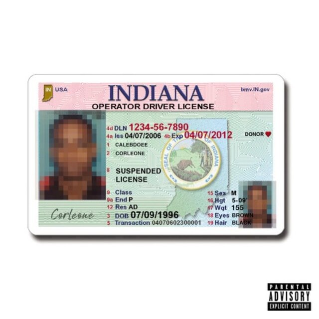 Suspended License