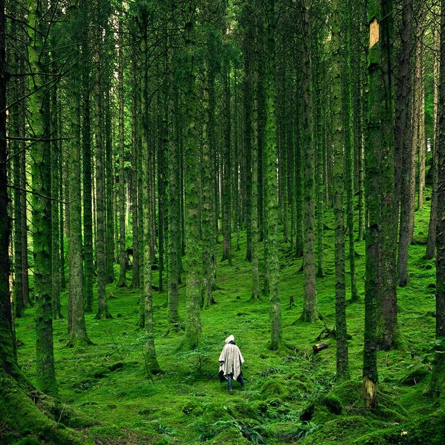 Smooth Pleasant White Cosy Noise