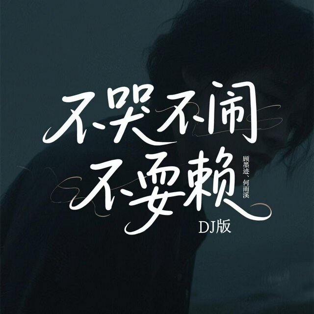 不哭不闹不耍赖 (Dj浩然版)