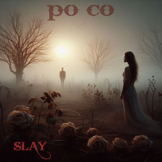 Po co