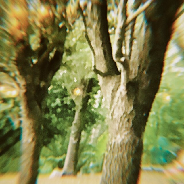 The Dream (Instrumental Version)