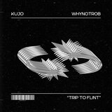 Trip To Flint (feat. WhyNotRob)