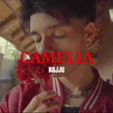 Camelia