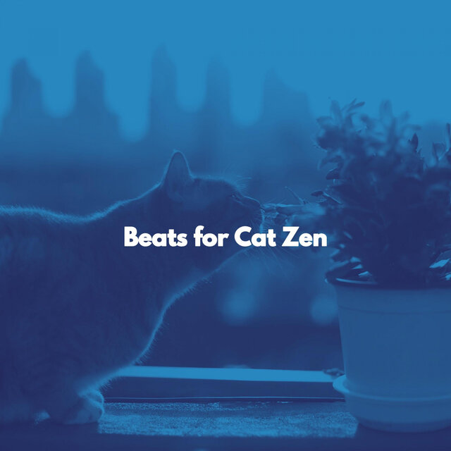 Beats for Cat Zen