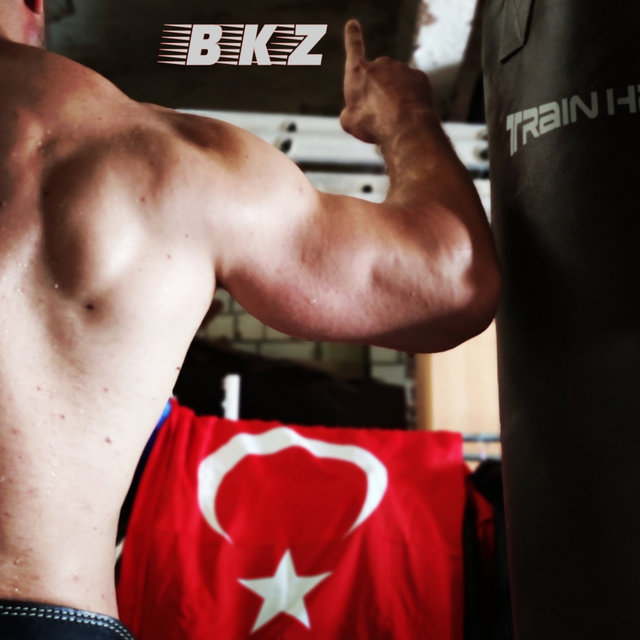 Türkischer Panzer 2