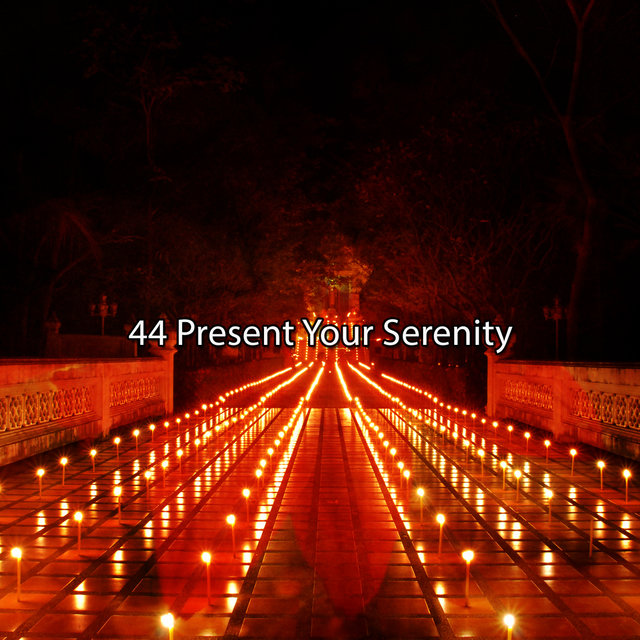 44 Presenta tu serenidad