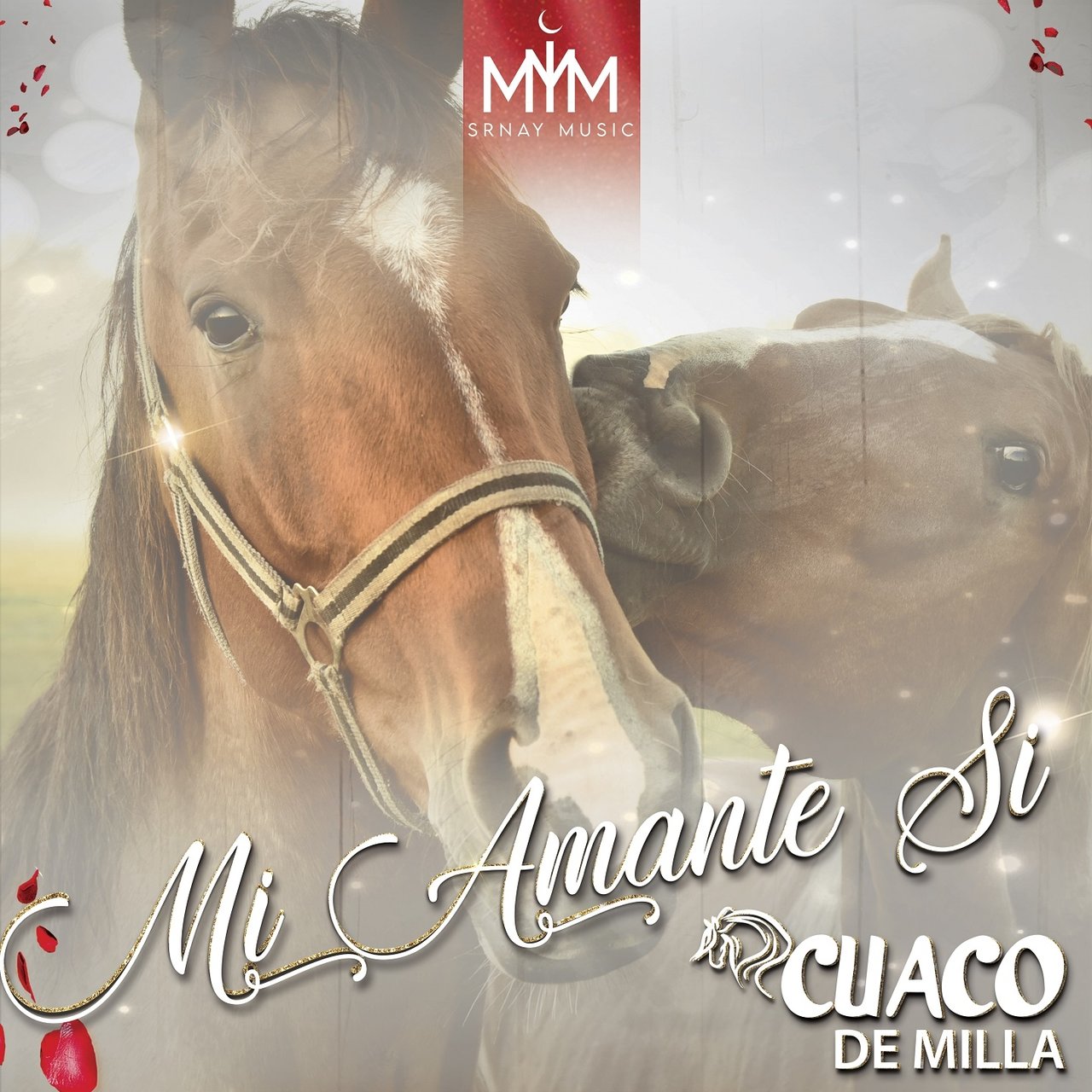 Cuaco de Milla on TIDAL