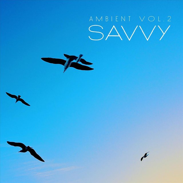 Ambient, Vol. 2