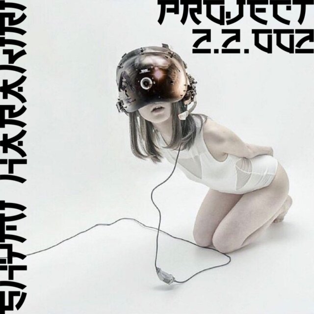PROJECT 2.2.002