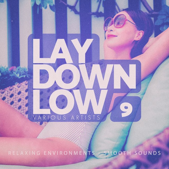 Lay Down Low, Vol. 9