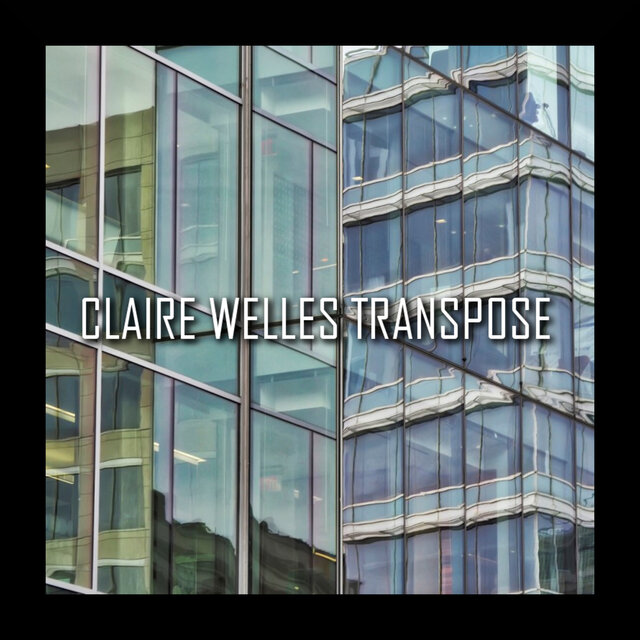 Transpose (24 Bit Master Version)