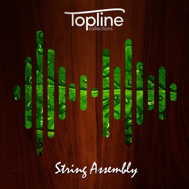 Topline Collections: String Assembly