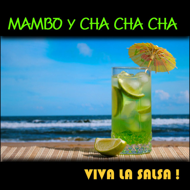 Mambo Y Cha Cha Cha, Viva La Salsa !