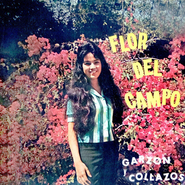 Flor del Campo, Vol. 2