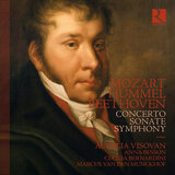 Symphony No. 1 in C Major, Op. 21: IV. Finale