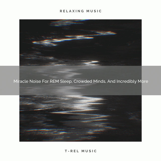 2021 New: Miracle Noise For REM Sleep, Crowded Minds, And Incredibly More