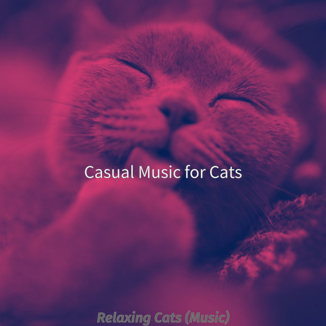 Relaxing Cats (Music)