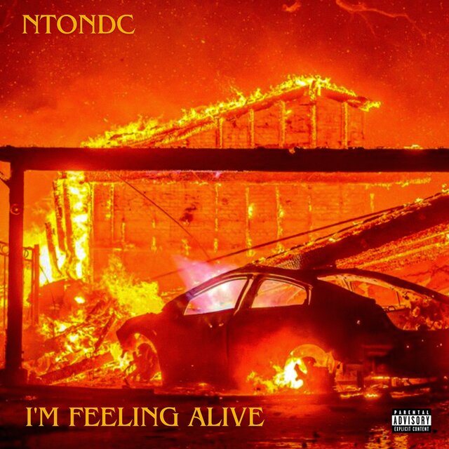 i'm feeling alive