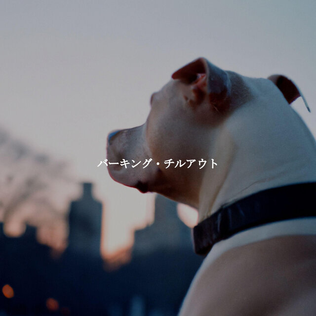 バーキング・チルアウト