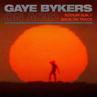 Gaye Bykers On Acid - TIDAL