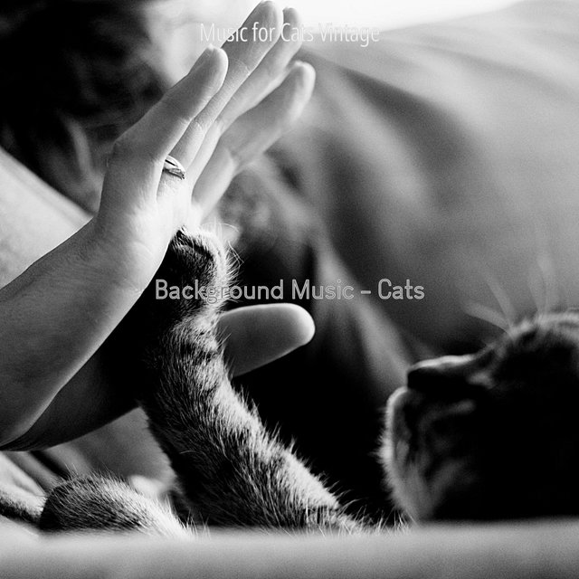 Background Music - Cats
