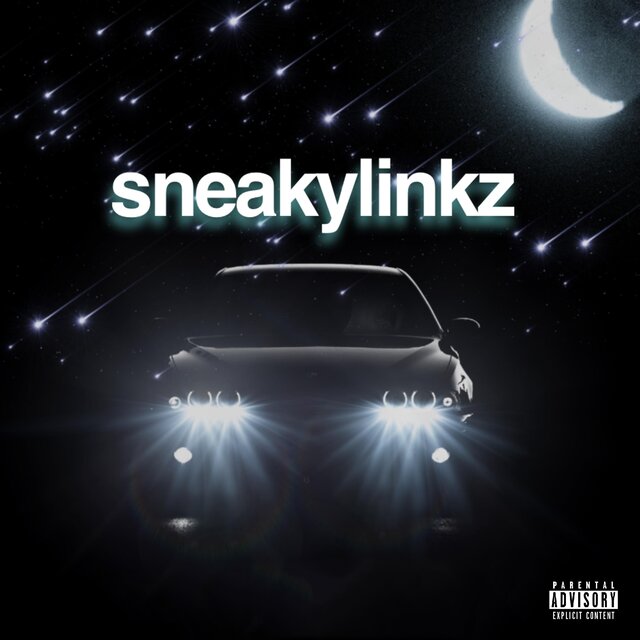 SneakyLinkz