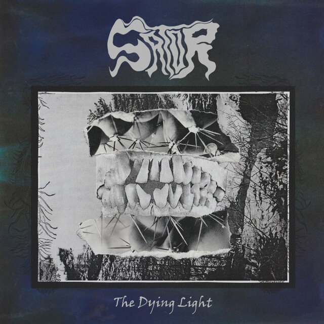 Cover art for album The Dying Light by sator