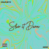 Slow It Down