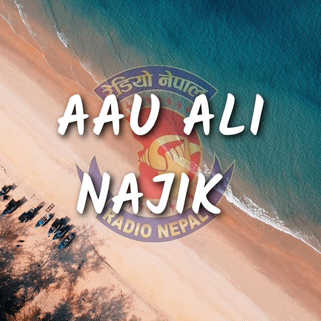 Aau Ali Najik