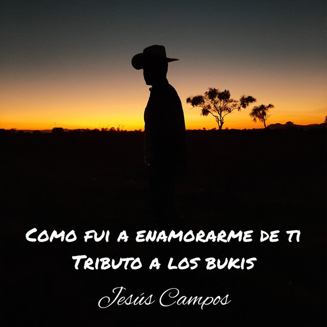 Como Fui a Enamorarme de Ti (Tributo a Los Bukis)