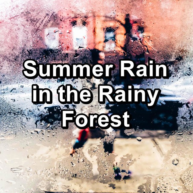 Summer Rain in the Rainy Forest