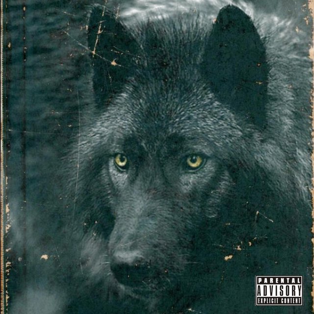 Perro Negro