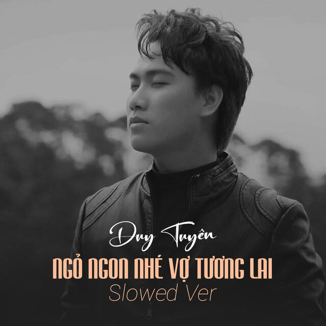 Ngủ Ngon Nhé Vợ Tương Lai Slowed Ver