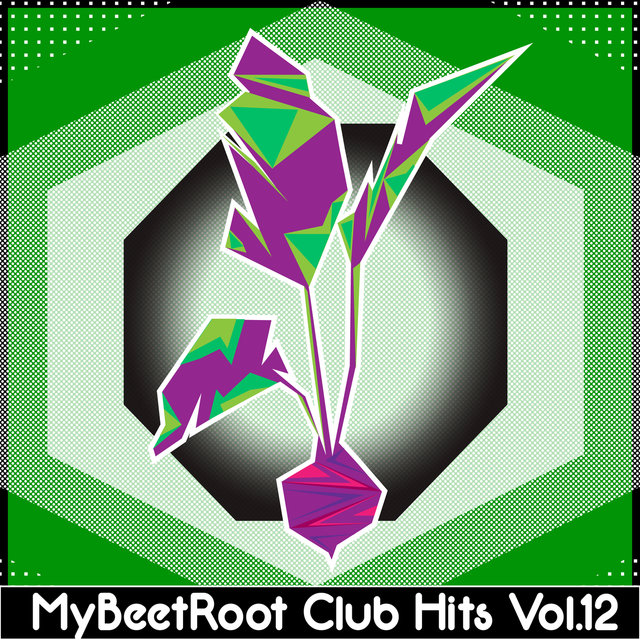 MyBeetRoots Club Hits, Vol. 12