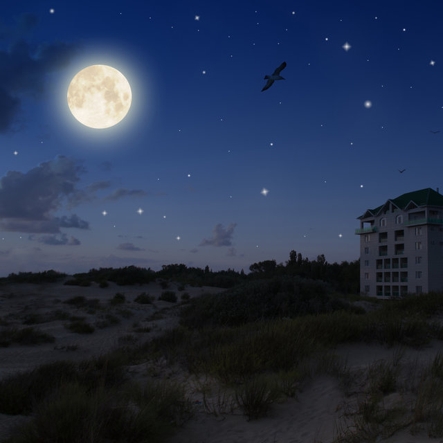 Soothing Relaxation Sessions - 40 Tracks to Rest Easy, Relax and Relieve All Stress & Anxiety
