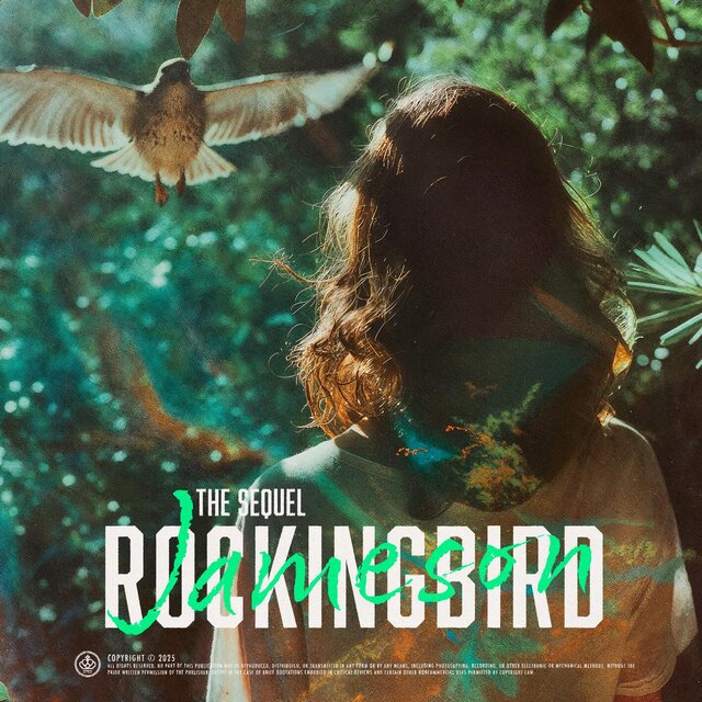 Rockingbird, The Sequel