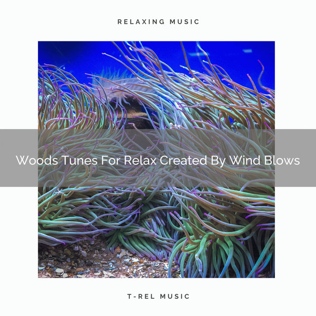 Woods Tunes For Relax Created By Wind Blows