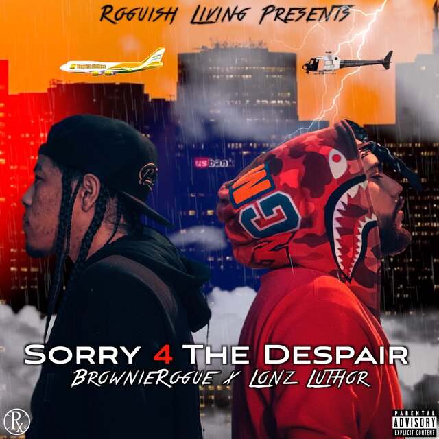 Sorry 4 The Despair
