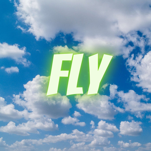 Fly