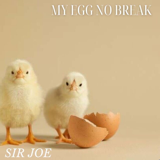 My Egg no break