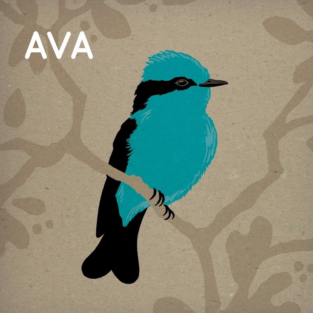 Cover art for album Ava by Ava