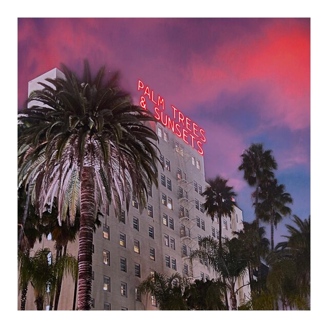 Palm Trees & Sunsets