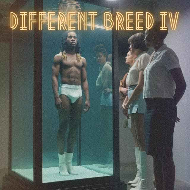 DIFFERENT BREED IV: FINAL CHAPTER