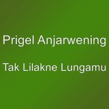 Tak Lilakne Lungamu