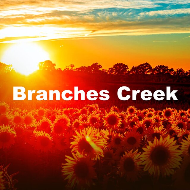 Branches Creek