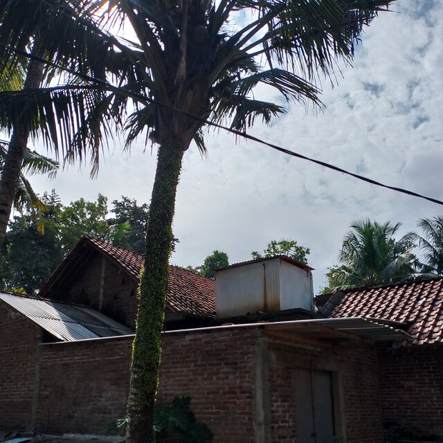 Panas