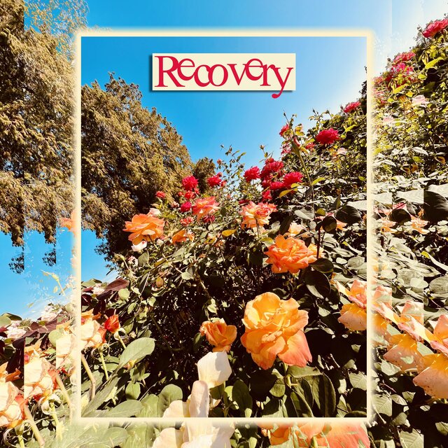 Recovery