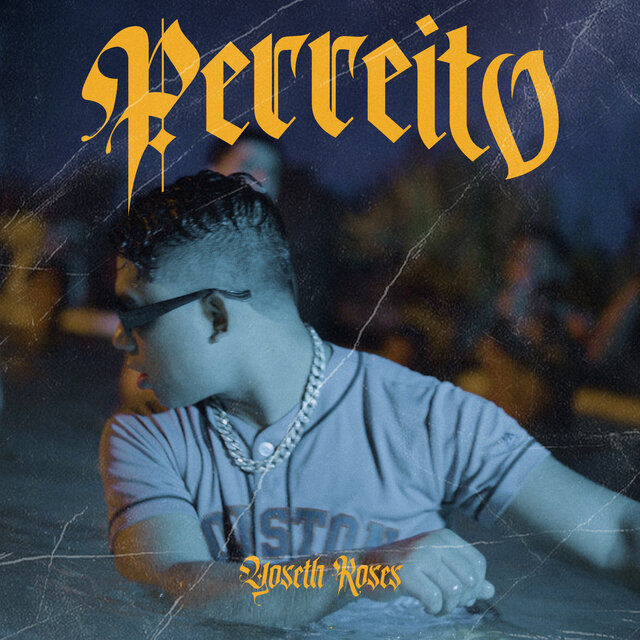 Perreito