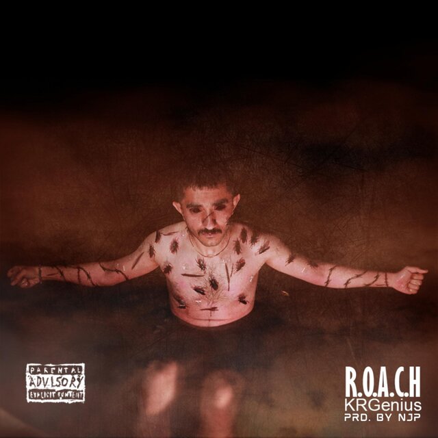 ROACH